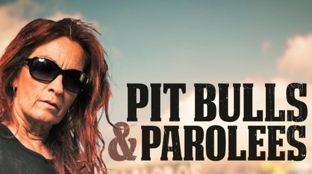 Pit Bulls and Parolees (2009) poster