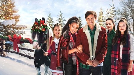 The Twelve Neighs of Christmas (2018) - Episode 1 poster and promotional image