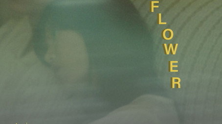 Sunflower (2025) poster