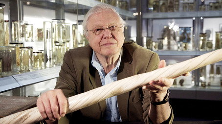 David Attenborough's Natural Curiosities Сезон 1