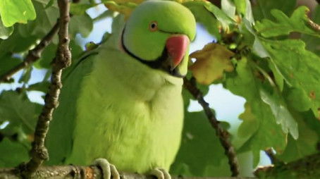 Hidden Treasures (2021) - Episode 9 poster and promotional image