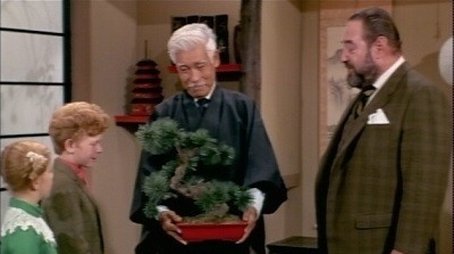 Mr. Osaki's Tree (1970) - Episode 17 poster and promotional image