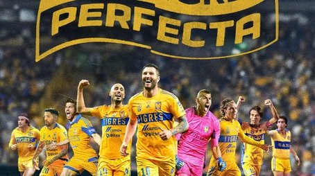 Tigres: La historia perfecta (2024) poster