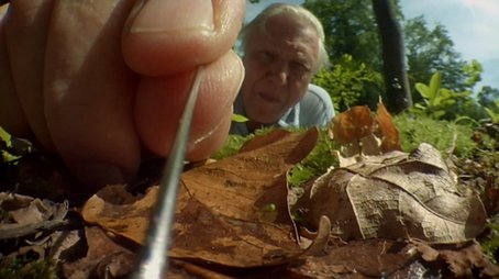 Attenborough's Life Stories: Life on Camera (2013) - Episode 5 poster and promotional image