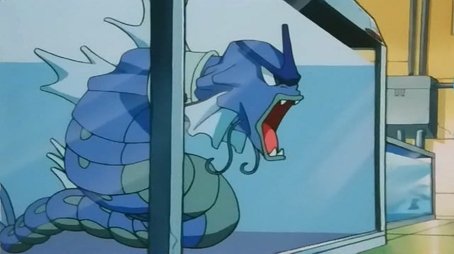 The Joy of Water Pokémon