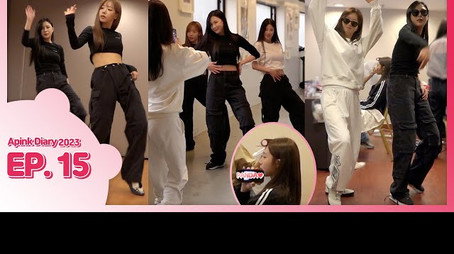 에이핑크 다이어리 Сезон 10