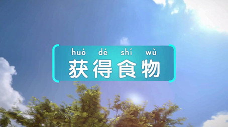 斑马百科 Сезон 23