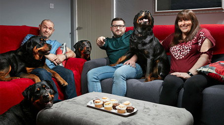 Televize vás vidí Sezóna 21