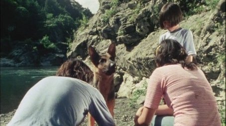 Clever Dog, Run Back to Dad! (1978) - Episode 16 poster and promotional image