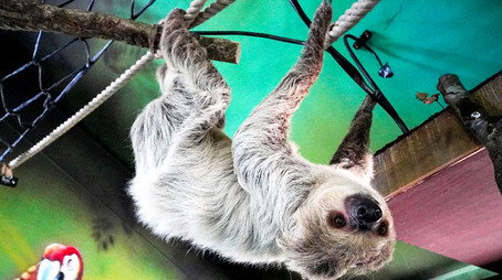 Animal Park Stagione 20