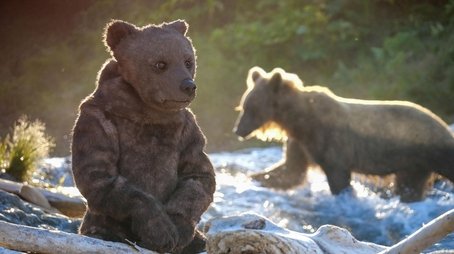 Spy in The Wild 2: The North (2020) - Episode 16 poster and promotional image