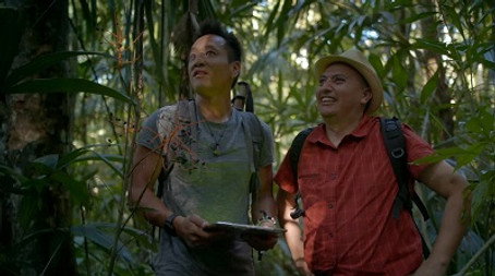 Ztracené poklady mayských hadích králů Sezóna 1