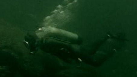 The Marine Biologist (1968) - Episode 8 poster and promotional image