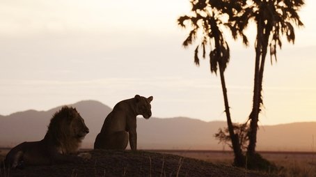 Salvation | Katavi: Africa's Fallen Paradise (2025) - Episode 12 poster and promotional image