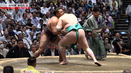 GRAND SUMO Highlights Сезон 35