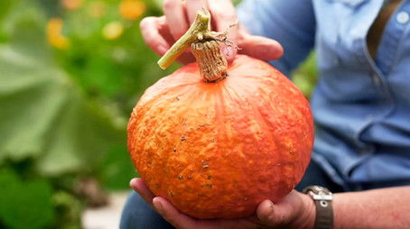 Episode 7 Autumn: Indoor Stunners & Bruny Island (2025) - Episode 7 poster and promotional image