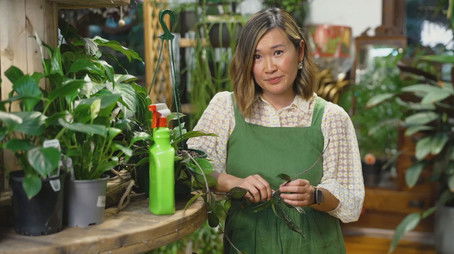 Episode 2 Autumn: Kitchen Garden & a Community Nursery (2025) - Episode 2 poster and promotional image