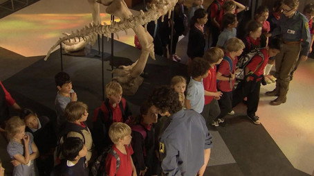 Andy's Dinosaur Adventures Сезон 1