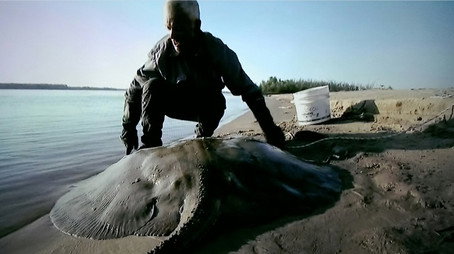 River Monsters Сезон 0