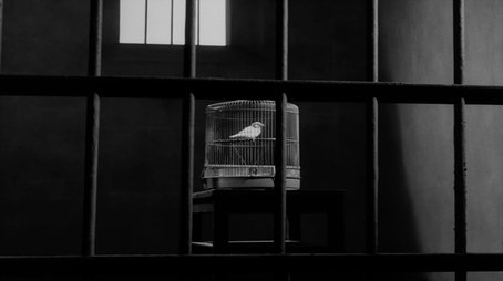 I Saw a Bird (1966) - Episode 12 poster and promotional image