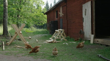 Farmen Сезон 19