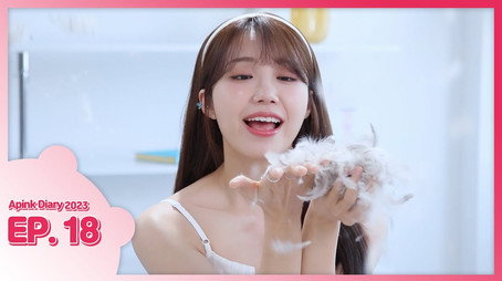 에이핑크 다이어리 Сезон 10