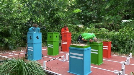 I'm a Celebrity...Get Me Out of Here! Сезон 18