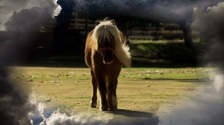 Li'l Sebastian (2011) - Episode 16 poster and promotional image