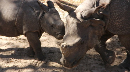 Secrets of the Zoo: Tampa Stagione 3