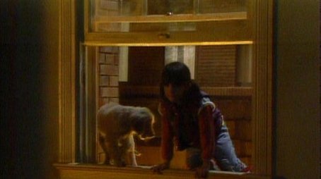 Punky Finds a Home (1) (1984) - Episode 1 poster and promotional image