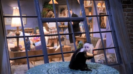The One Where the Monkey Gets Away (1995) - Episode 19 poster and promotional image