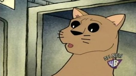 Almost Purr-fect (2007) - Episode 2 poster and promotional image