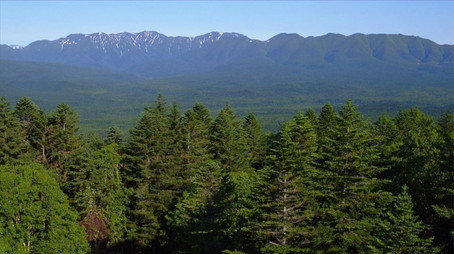 Wild Hokkaido! Сезон 1