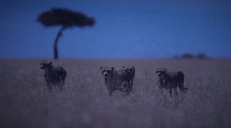 Moonlit Plains (2020) - Episode 1 poster and promotional image