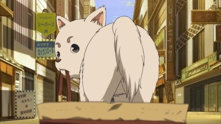 Dog Food Doesn't Taste Like You Think (2013) - Episode 13 poster and promotional image