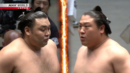 GRAND SUMO Highlights Сезон 35