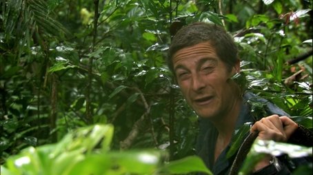 Jungle Swamp (1) (2008) - Episode 10 poster and promotional image
