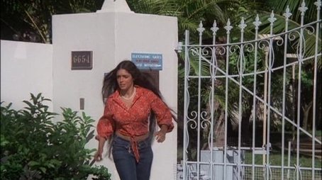 The Waterfront Steal (1975) - Episode 12 poster and promotional image