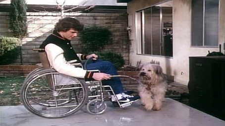 Here's Boomer Évad 1