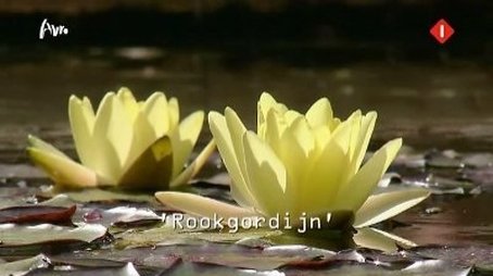 Rookgordijn (Smoke screen) (2012) - Episode 6 poster and promotional image