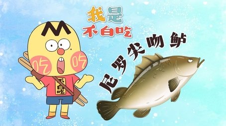 Episode 586 (None) - Episode 586 poster and promotional image