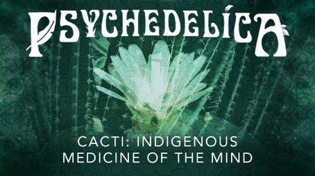 Psychedelica Сезон 1
