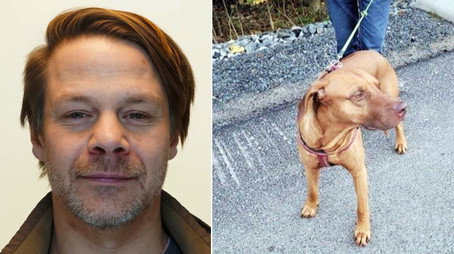 Åsted Norge Сезон 12