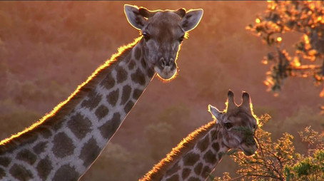 Race of life Évad 1