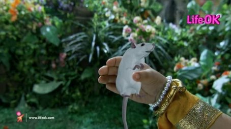Mahadev enlightens Parvati (2012) - Episode 19 poster and promotional image