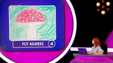 Pointless Сезон 35