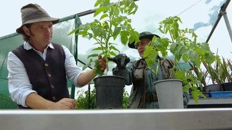 Episode 33 Netting Laws, Native Bees & Tomato Tips (2021) - Episode 33 poster and promotional image