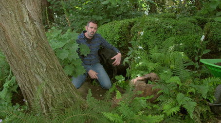 Episode 14 (None) - Episode 14 poster and promotional image