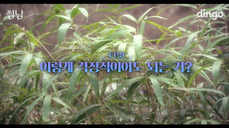 썸남 Sezóna 1