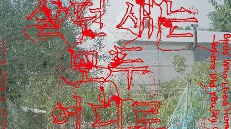 The Birds Who Lived Home - Where Did You All Go? (2024) poster